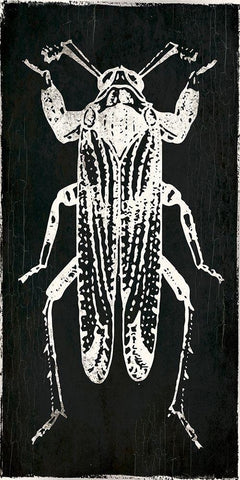Bug Life Four Black Black Ornate Wood Framed Art Print with Double Matting by Villa, Mlli