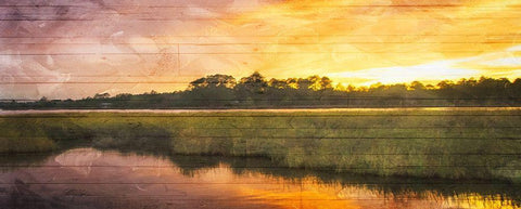 Marsh Sunset Black Ornate Wood Framed Art Print with Double Matting by Villa, Mlli