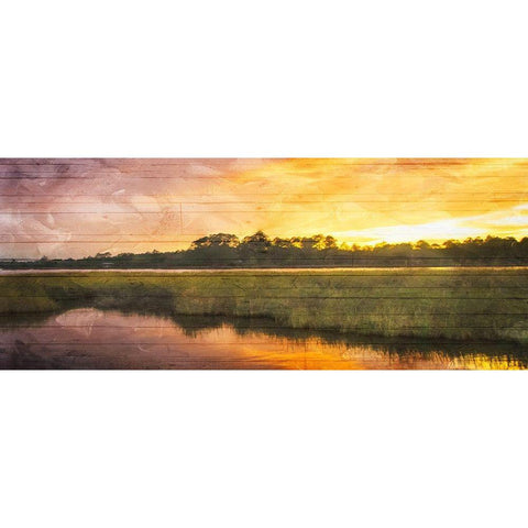 Marsh Sunset Gold Ornate Wood Framed Art Print with Double Matting by Villa, Mlli