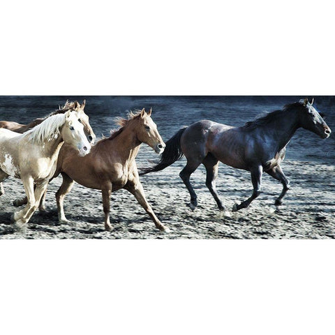 Lets Go Horses Gold Ornate Wood Framed Art Print with Double Matting by Villa, Milli