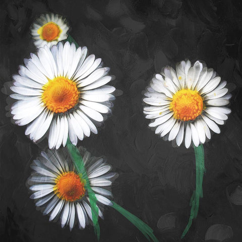 Together Flowers White Modern Wood Framed Art Print with Double Matting by Villa, Mlli
