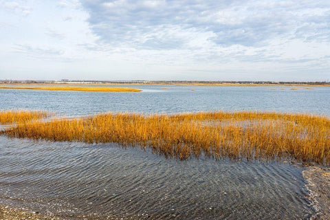 Winter Marsh White Modern Wood Framed Art Print with Double Matting by Orlando
