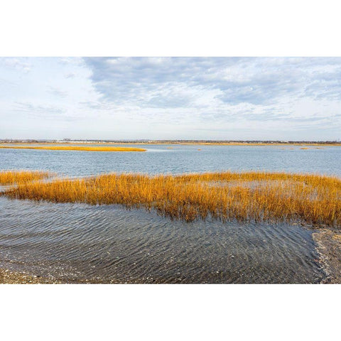 Winter Marsh Gold Ornate Wood Framed Art Print with Double Matting by Orlando