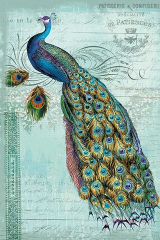 Peacock Teal Nouveau 1 Black Ornate Wood Framed Art Print with Double Matting by Lula Bijoux and Company