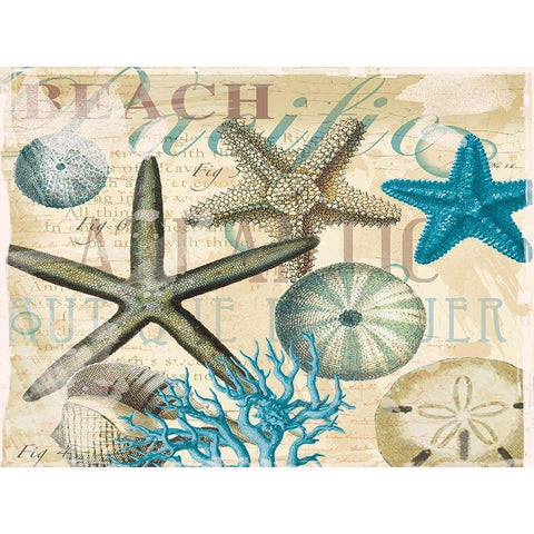 Beach Shells R1 Gold Ornate Wood Framed Art Print with Double Matting by Allen, Candace