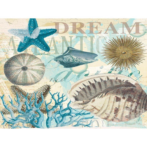 Dream Shells R1 Gold Ornate Wood Framed Art Print with Double Matting by Allen, Candace