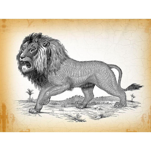 Industrial Lion Gold Ornate Wood Framed Art Print with Double Matting by Lula Bijoux and Company