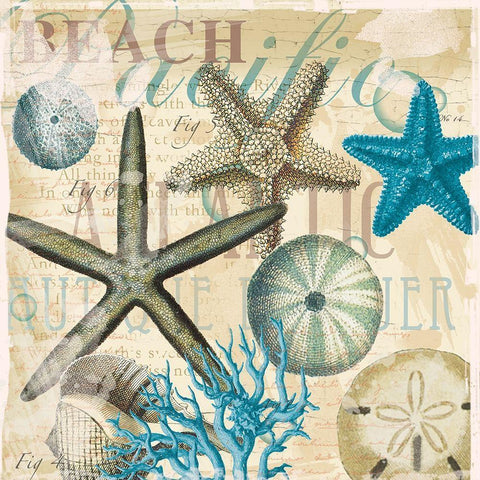 Beach Shells R1 Gold Ornate Wood Framed Art Print with Double Matting by Allen, Candace