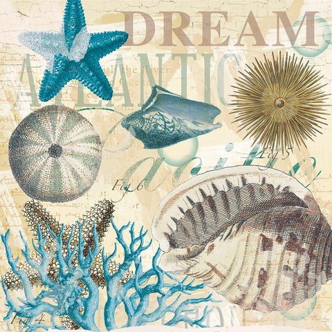 Dream Shells R1 Gold Ornate Wood Framed Art Print with Double Matting by Allen, Candace