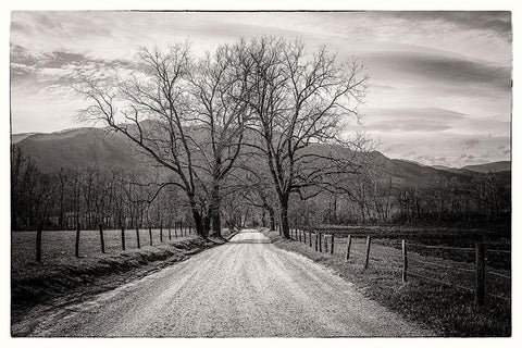 Less Traveled White Modern Wood Framed Art Print with Double Matting by Taylor, Glenn