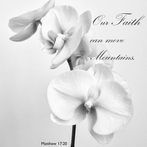 Mountain Orchids White Modern Wood Framed Art Print by Poinski, Dianne