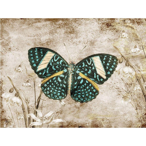 Beauty From Within 3 White Modern Wood Framed Art Print by Lewis, Sheldon