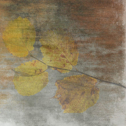 A Moment With Nature 2 Gold Ornate Wood Framed Art Print with Double Matting by Lewis, Sheldon
