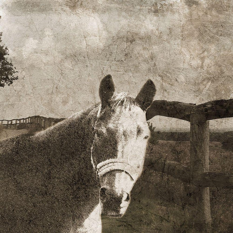 Riding West Black Modern Wood Framed Art Print by Lewis, Sheldon