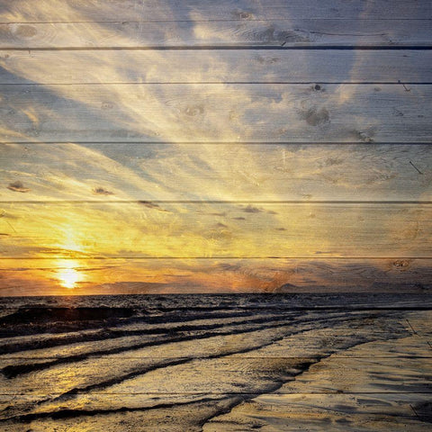 Golden Sunset 3 Gold Ornate Wood Framed Art Print with Double Matting by Lewis, Sheldon