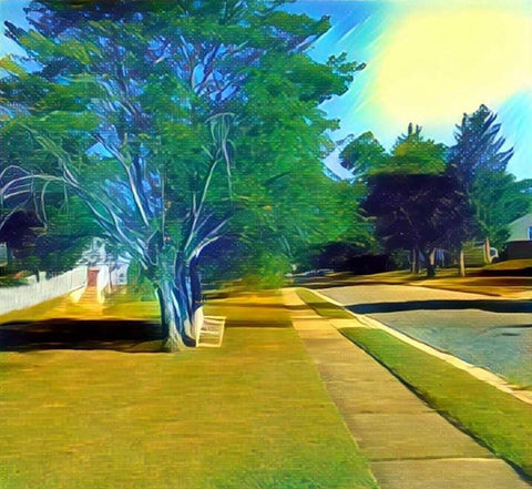 Coldbrook Lane Black Ornate Wood Framed Art Print with Double Matting by Butcher, Sarah