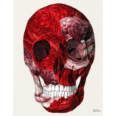 Skull With Roses Black Modern Wood Framed Art Print by Carlson, Tina