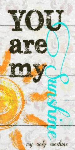 MY ONLY SUNSHINE PANEL White Modern Wood Framed Art Print with Double Matting by Greene, Taylor