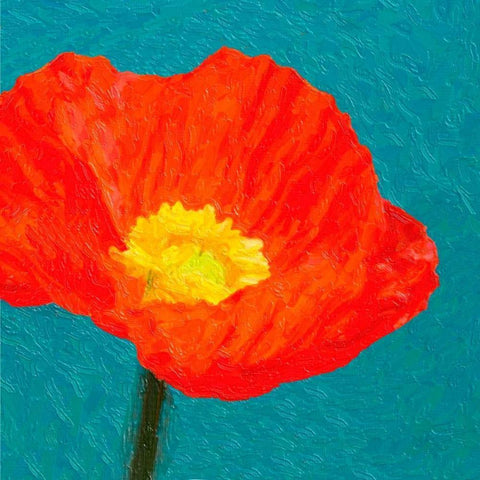 Poppies On Blue1 White Modern Wood Framed Art Print with Double Matting by Greene, Taylor