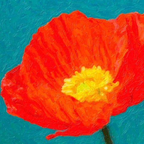 Poppies On Blue 2 White Modern Wood Framed Art Print with Double Matting by Greene, Taylor