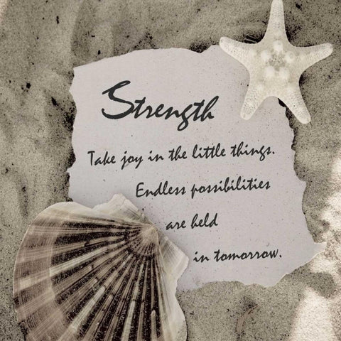 Shell Group 2 White Modern Wood Framed Art Print with Double Matting by Greene, Taylor