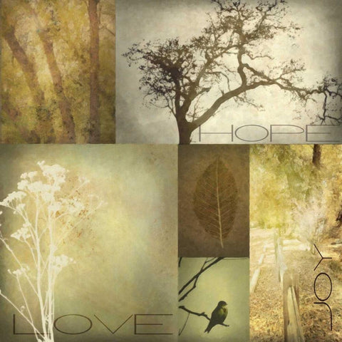 TREES Black Modern Wood Framed Art Print with Double Matting by Greene, Taylor