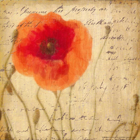 POPPY SCRIPT I White Modern Wood Framed Art Print with Double Matting by Greene, Taylor
