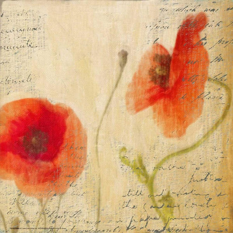 POPPY SCRIPT II White Modern Wood Framed Art Print with Double Matting by Greene, Taylor