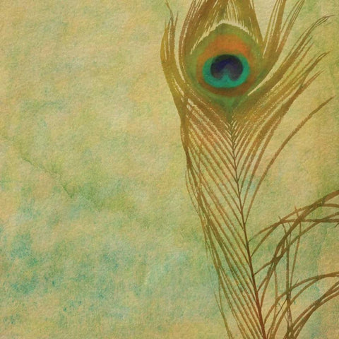 Single Feather Black Modern Wood Framed Art Print by Greene, Taylor