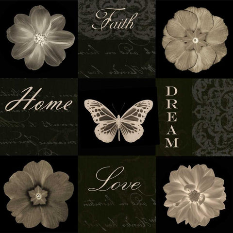 Sepia Floral 9 Patch I White Modern Wood Framed Art Print with Double Matting by Greene, Taylor