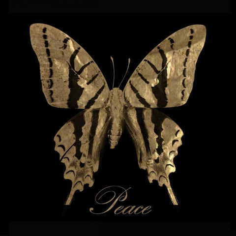 Peace Gold Butterfly White Modern Wood Framed Art Print with Double Matting by Greene, Taylor
