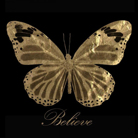 Believe Gold Butterfly White Modern Wood Framed Art Print with Double Matting by Greene, Taylor
