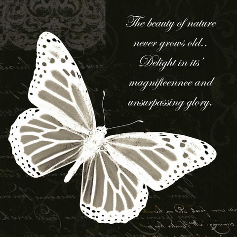 Beauty Butterfly White Modern Wood Framed Art Print by Greene, Taylor