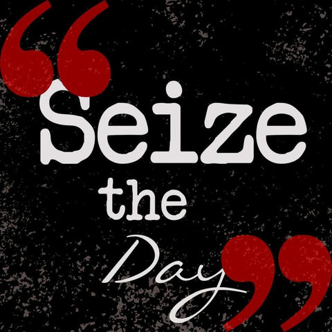 Seize The Day Black Modern Wood Framed Art Print with Double Matting by Greene, Taylor