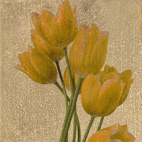 OSCAR GOLD A1 White Modern Wood Framed Art Print with Double Matting by Greene, Taylor