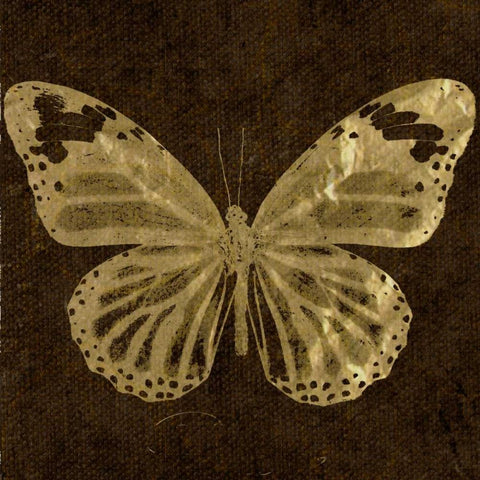 OSCAR GOLD B5 White Modern Wood Framed Art Print by Greene, Taylor