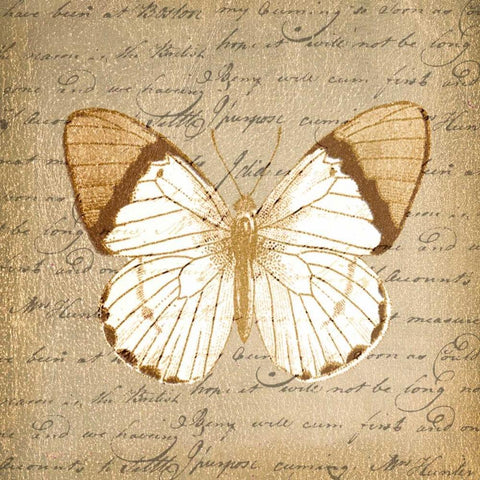 BUTTERFLY ON GOLD White Modern Wood Framed Art Print with Double Matting by Greene, Taylor