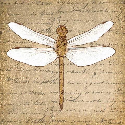DRAGONFLY ON GOLD Black Ornate Wood Framed Art Print with Double Matting by Greene, Taylor
