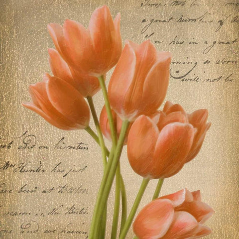 ORANGE TULIP I ON GOLD White Modern Wood Framed Art Print with Double Matting by Greene, Taylor