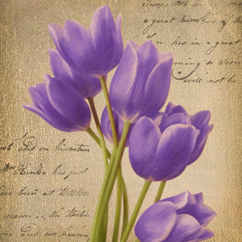 PURPLE TULIP I ON GOLD White Modern Wood Framed Art Print with Double Matting by Greene, Taylor