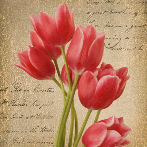 RED TULIP I ON GOLD White Modern Wood Framed Art Print with Double Matting by Greene, Taylor