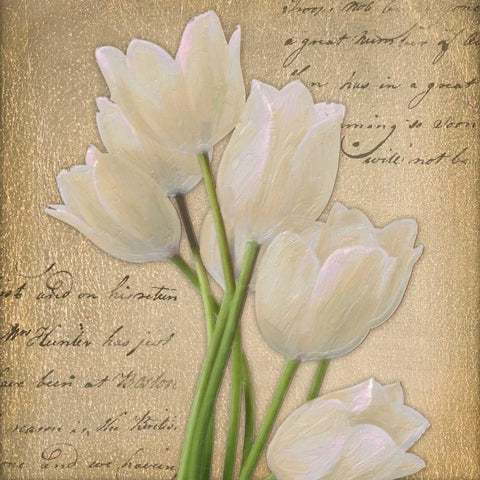 WHITE TULIP ON GOLD A White Modern Wood Framed Art Print with Double Matting by Greene, Taylor