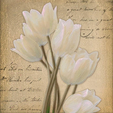 WHITE TULIP I White Modern Wood Framed Art Print with Double Matting by Greene, Taylor