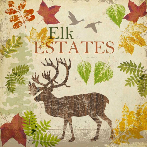 ELK B2 White Modern Wood Framed Art Print with Double Matting by Greene, Taylor