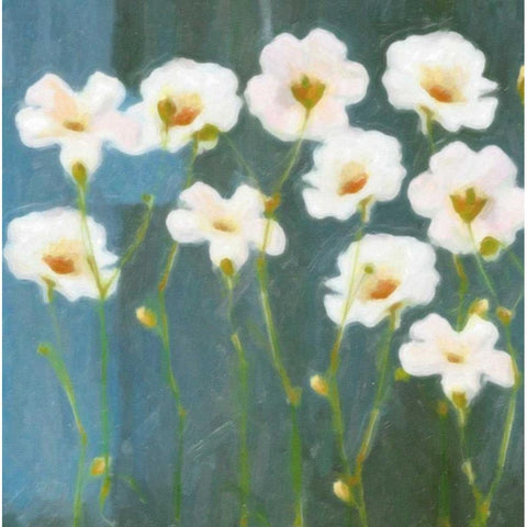 WHITE FLOWER FIELD I White Modern Wood Framed Art Print by Greene, Taylor
