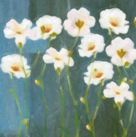 WHITE FLOWER FIELD I White Modern Wood Framed Art Print with Double Matting by Greene, Taylor