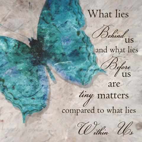 Blue Butterfly I White Modern Wood Framed Art Print with Double Matting by Greene, Taylor