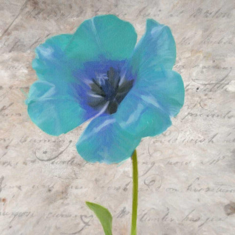 Blue Scripted Floral I White Modern Wood Framed Art Print with Double Matting by Greene, Taylor