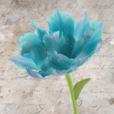 Blue Scripted Floral II White Modern Wood Framed Art Print with Double Matting by Greene, Taylor