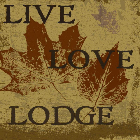 LIVE LOVE LODGE White Modern Wood Framed Art Print with Double Matting by Greene, Taylor